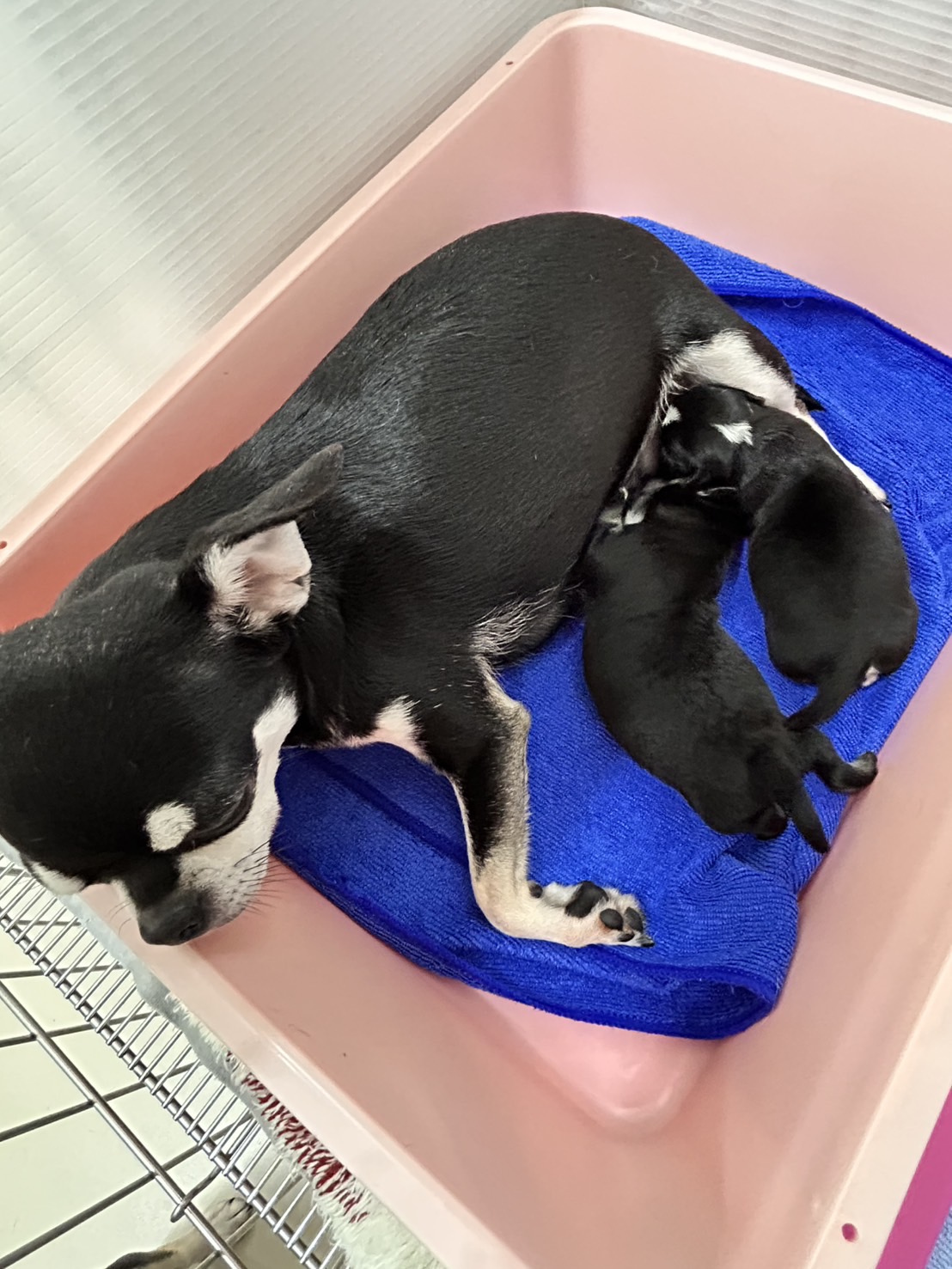 2025年9月24日生まれ男の子&女の子