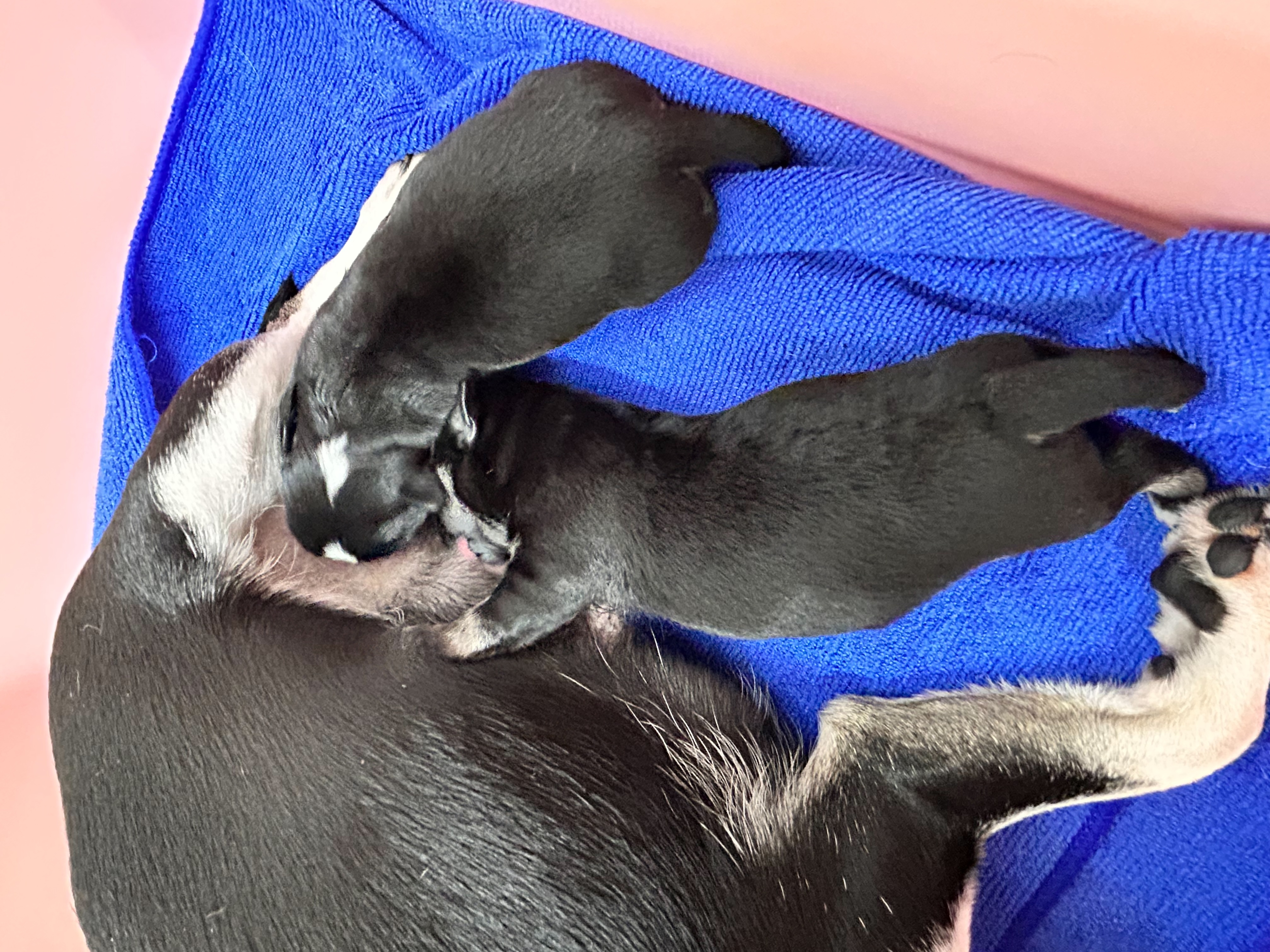 2025年9月24日生まれ男の子&女の子