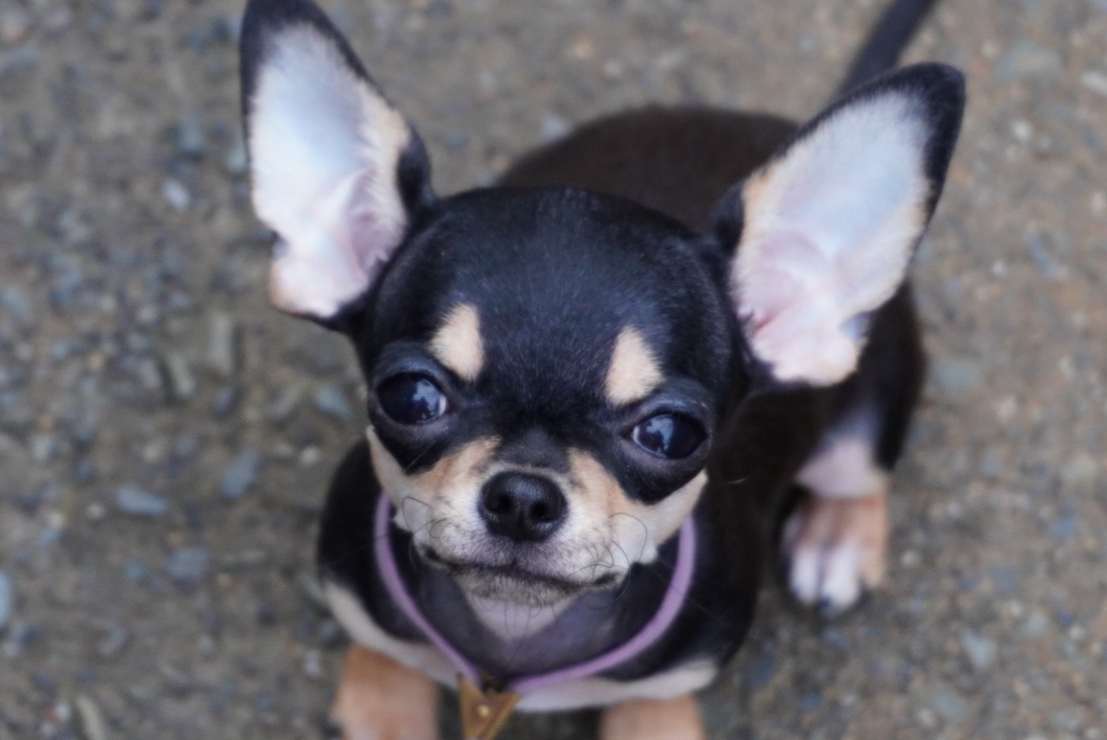 2025年6月25日生まれ