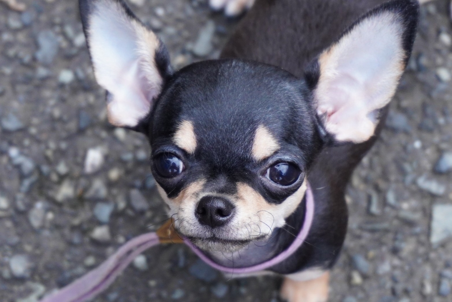 2025年6月25日生まれ