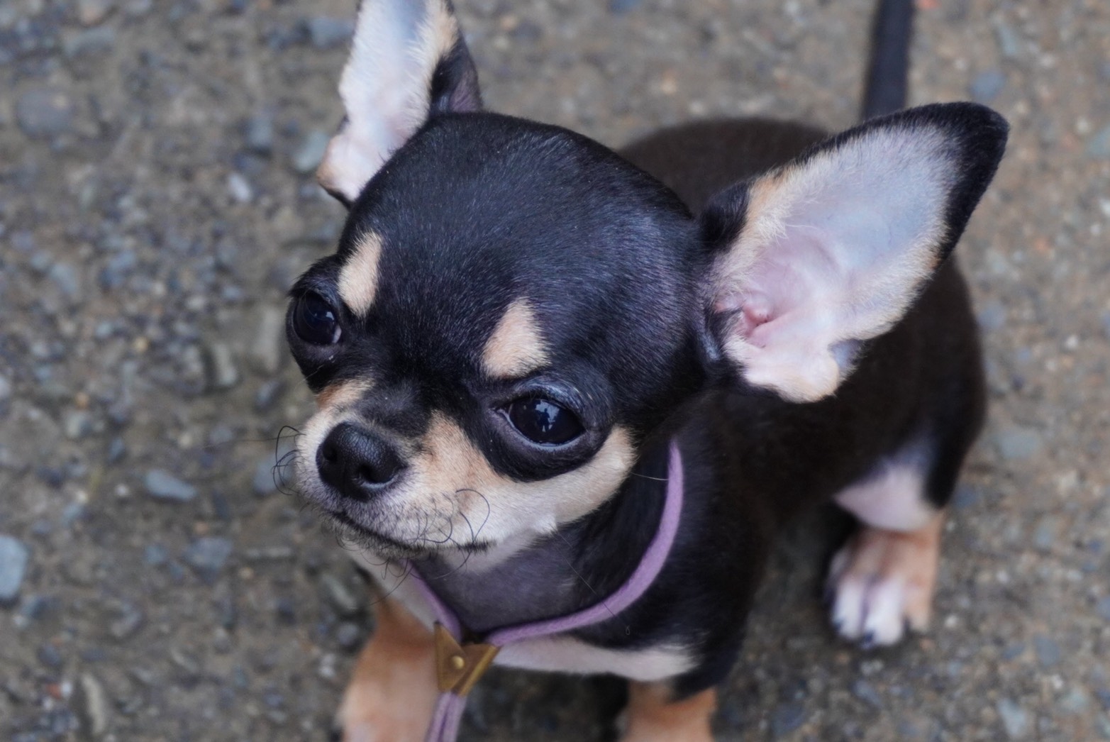 2025年6月25日生まれ