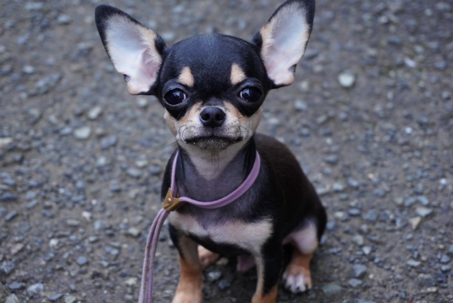 2025年6月25日生まれ