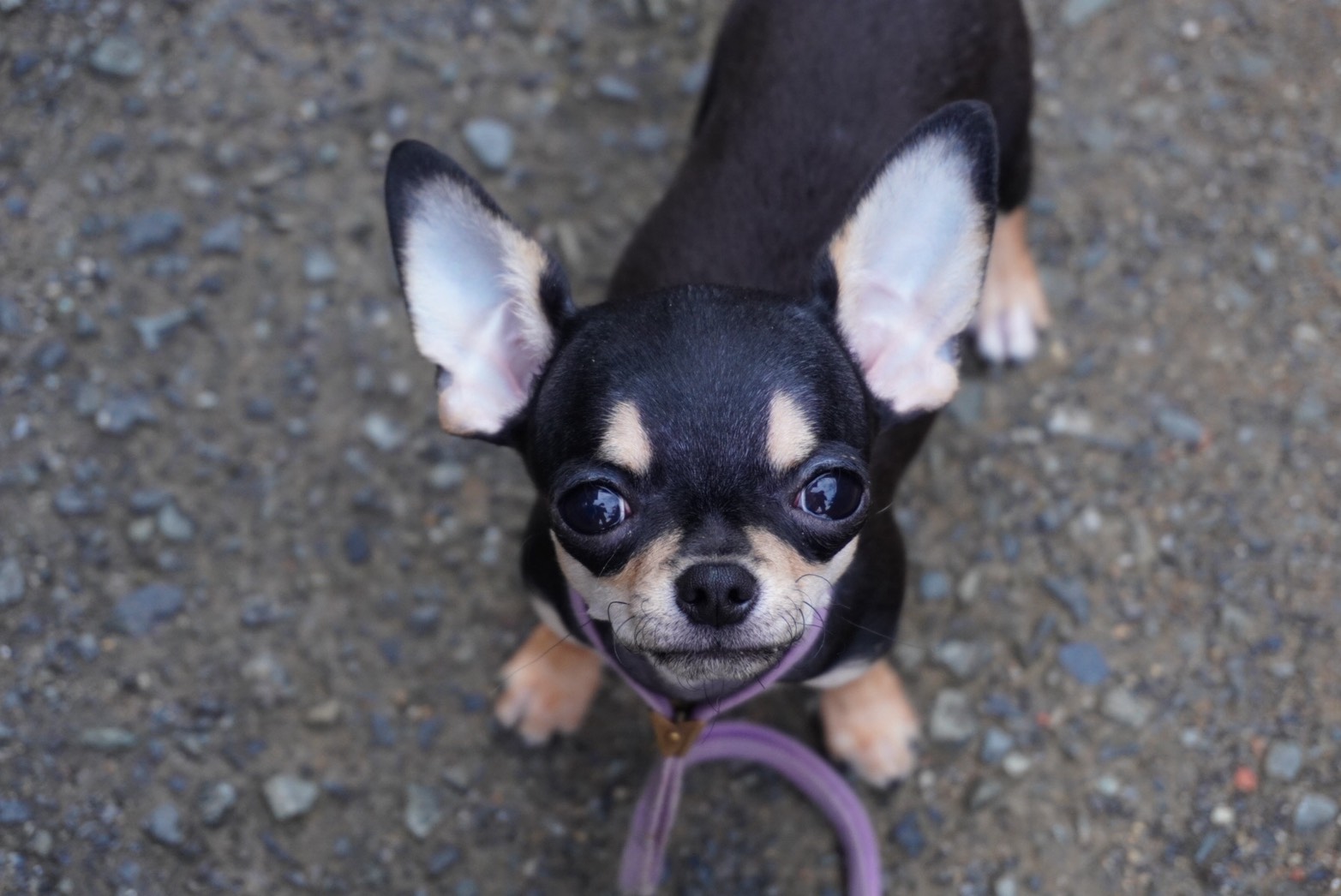 2025年6月25日生まれ