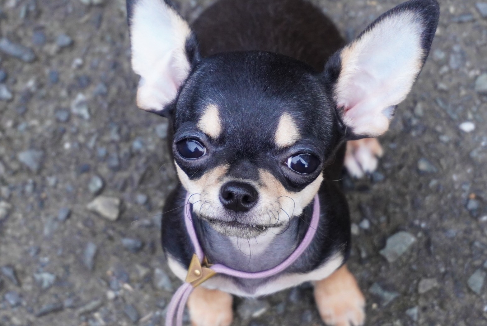 2025年6月25日生まれ