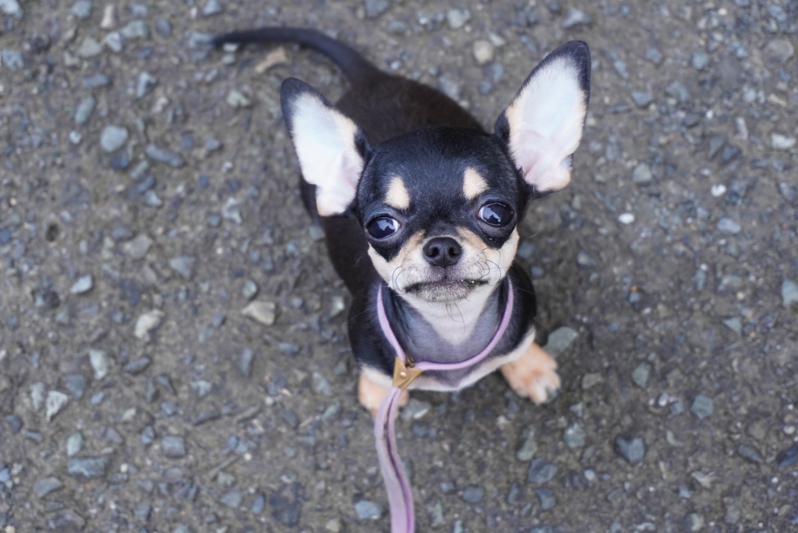 2025年6月25日生まれ