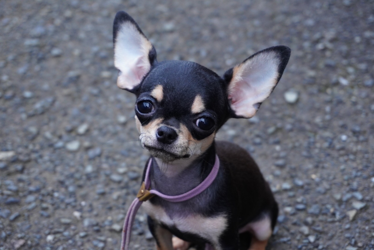 2025年6月25日生まれ