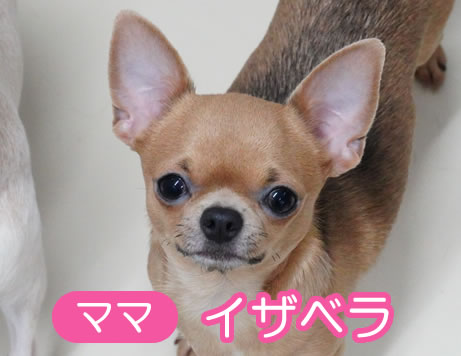 (仮名)ピアノちゃん